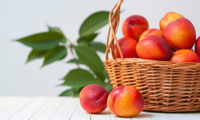 peaches and nectarines in a tabletop basket